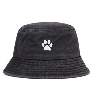 Bob Patte de Chat